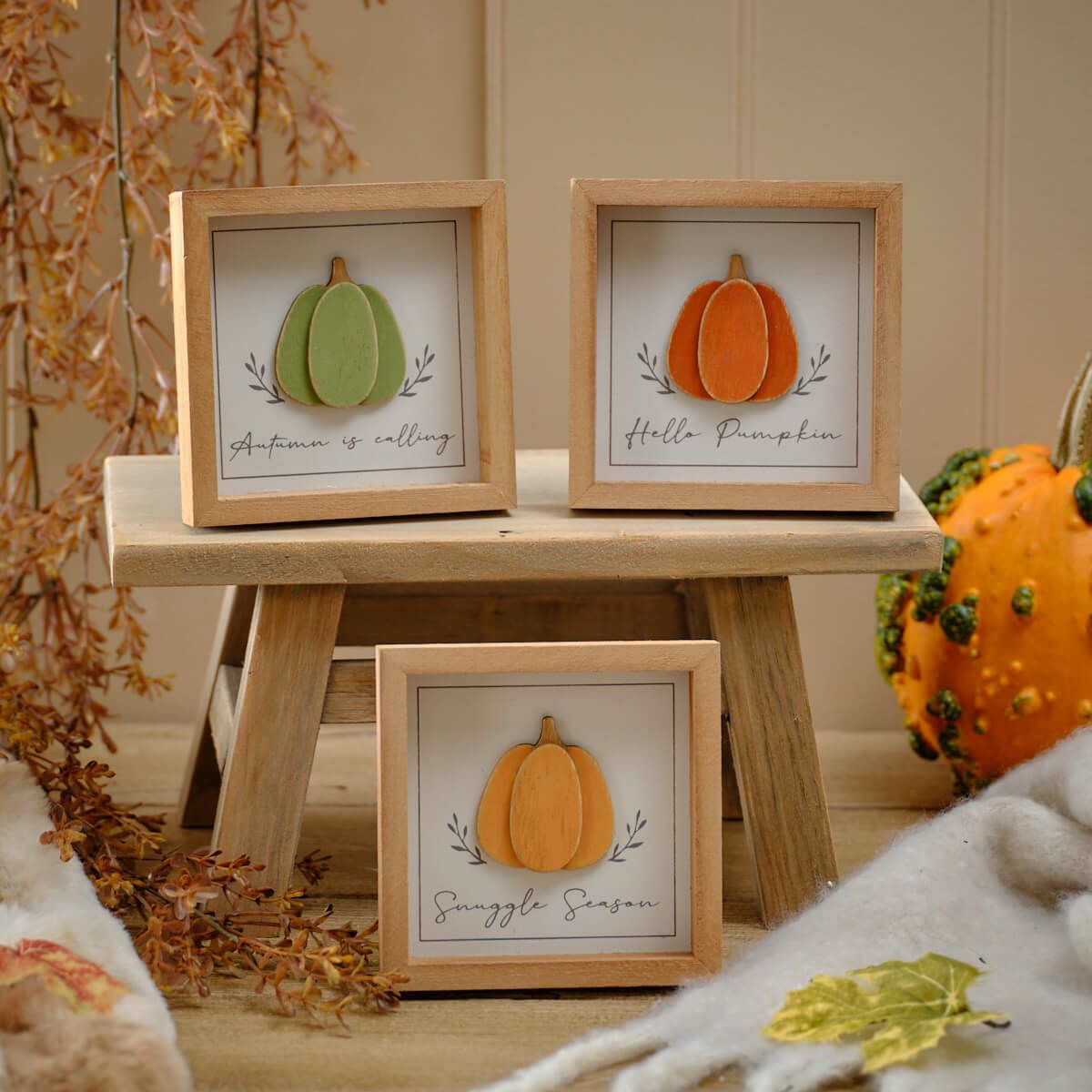 3D Pumpkin Wooden Frame