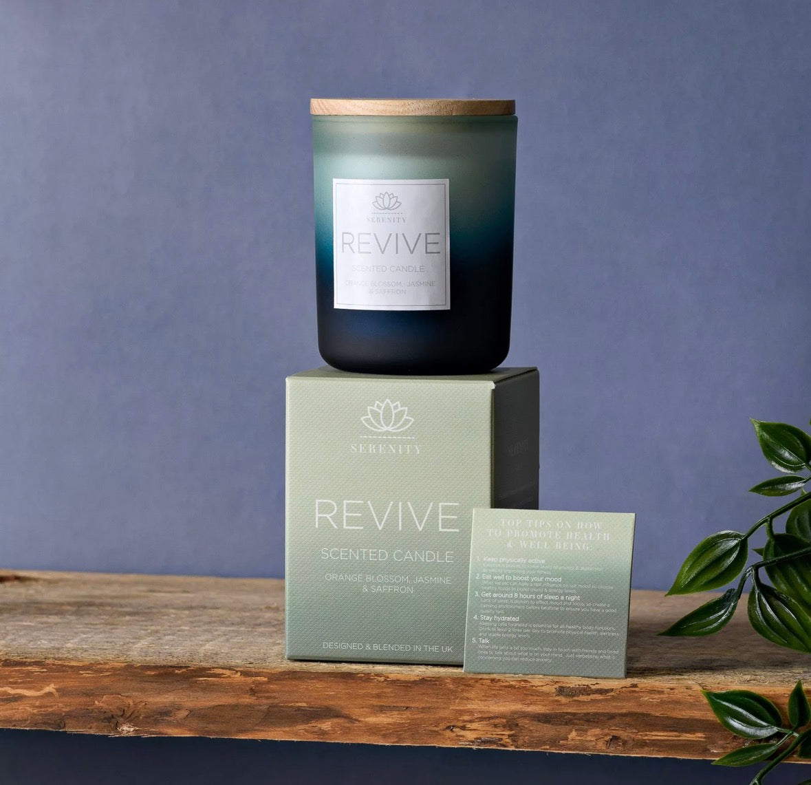 Serenity -120g Candle - Revive