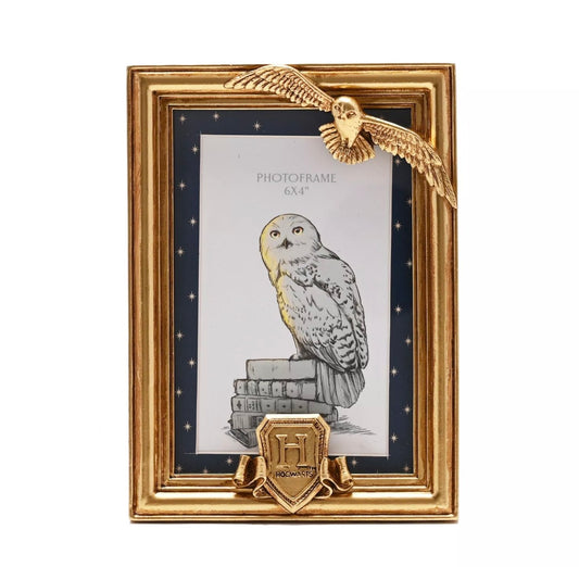 Harry Potter Alumni - Hedwig Frame