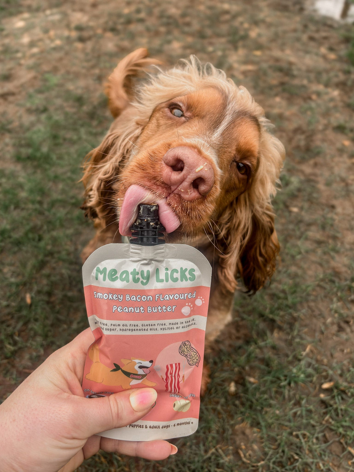 Meaty Licks - Flavoured Peanut Butter