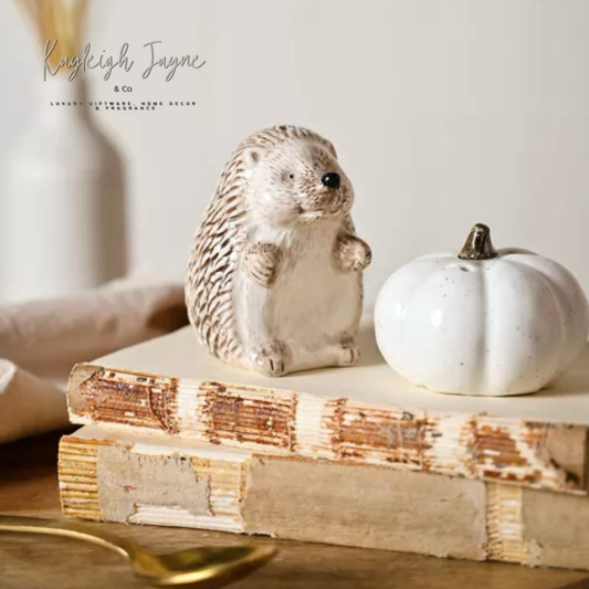 Country Living Hedgehog Salt & Pepper Set
