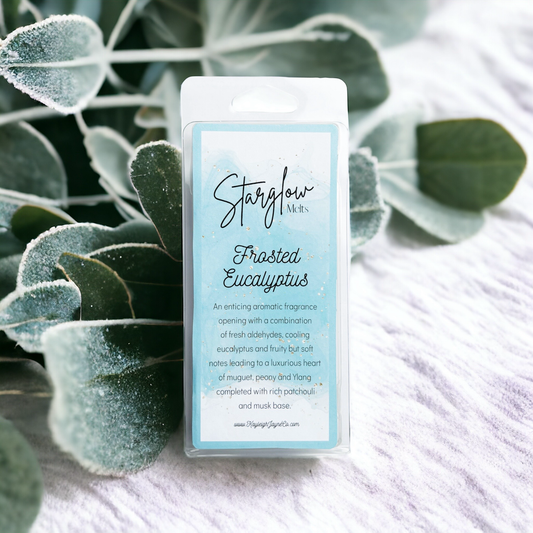 Wax Melt Snap Bar 50g - Frosted Eucalyptus