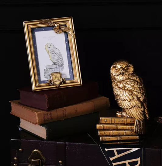 Harry Potter Alumni Photo Frame