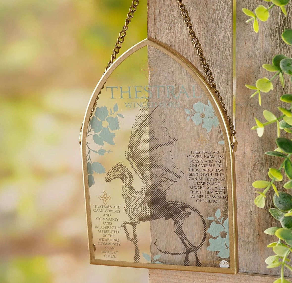 Harry Potter Herbology - Glass Thestral Plaque