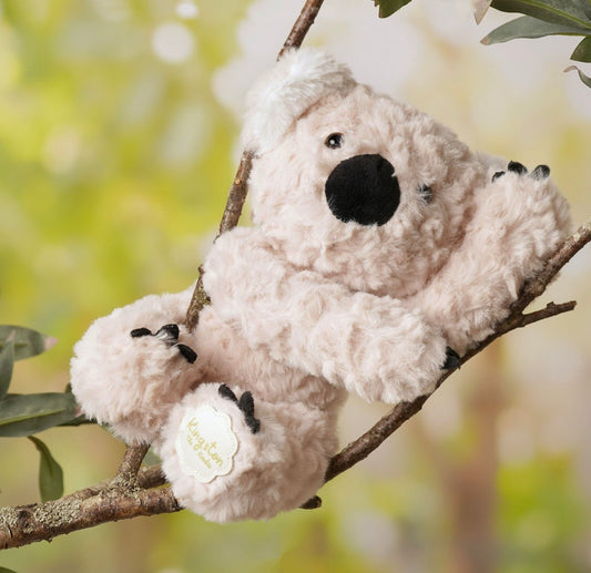 Softies - Kingston The  Plush Sitting Koala  22cm