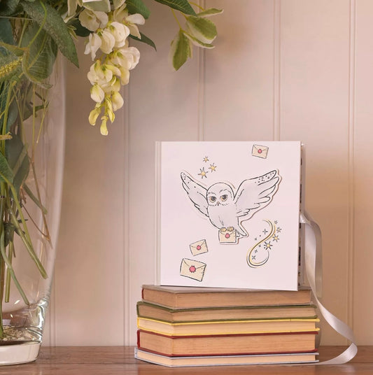 Harry Potter Charms - Hedwig Photo Album