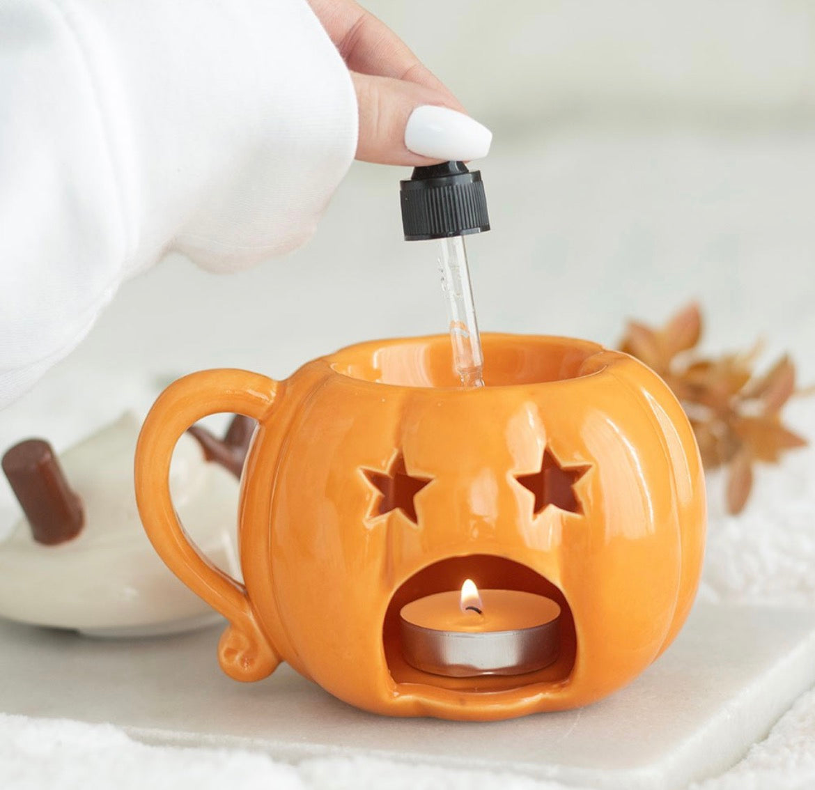 Cute Autumn Pumpkin Oil/Wax Burner