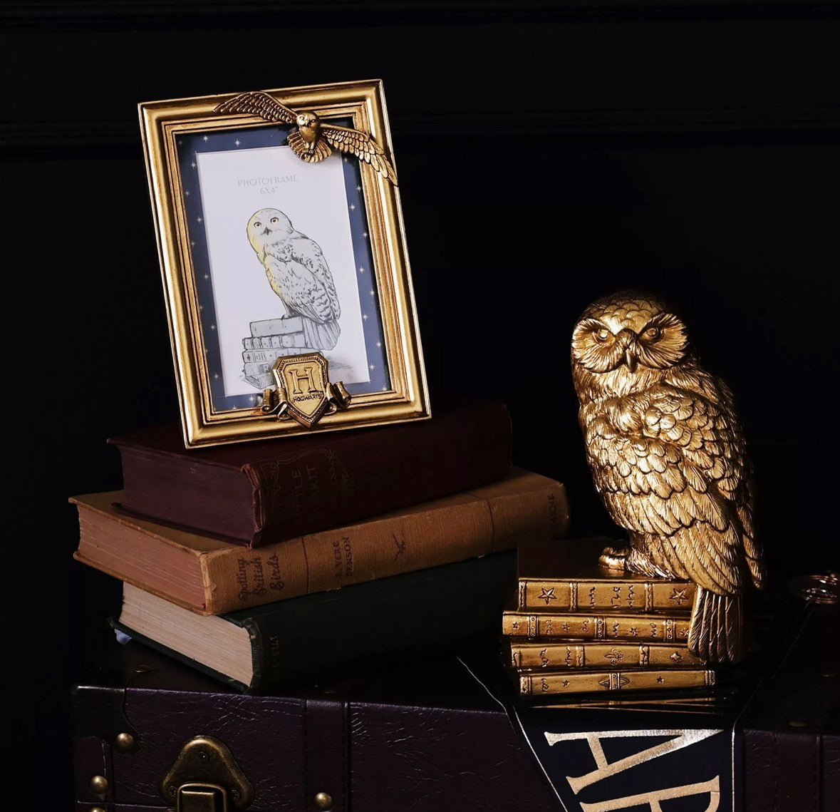 Harry Potter Alumni - Hedwig Frame