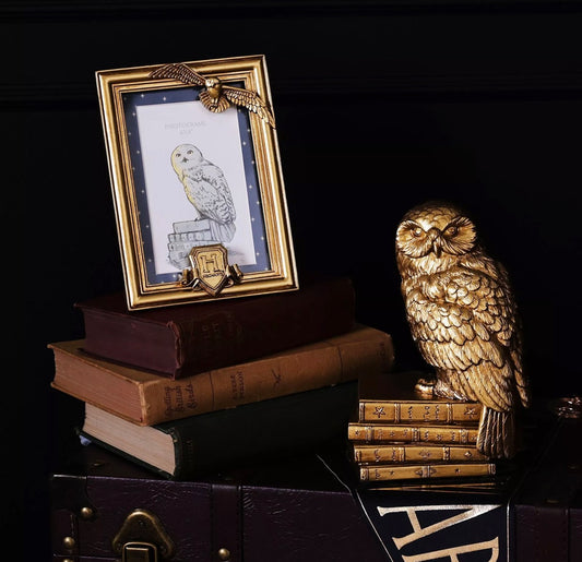 Harry Potter Alumni - Hedwig Frame