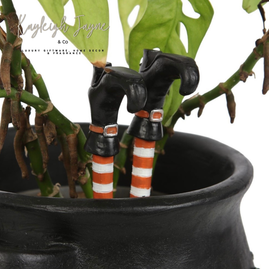 Set Of Two Witch Leg Plant Pot Ornament